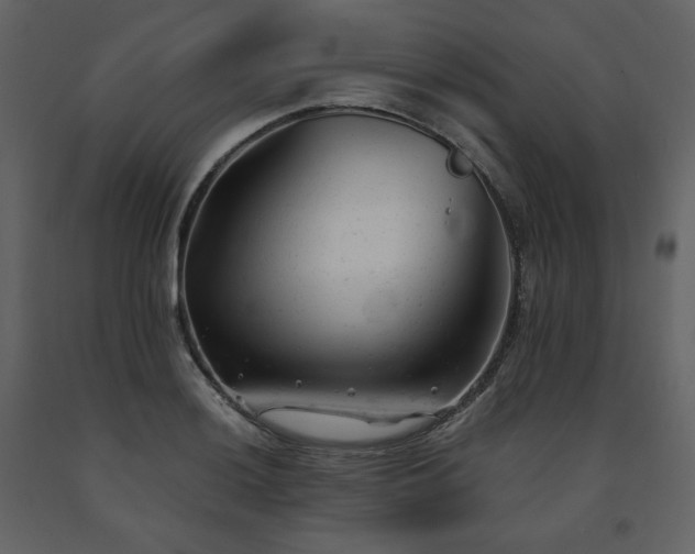 X0000091661036200708231301