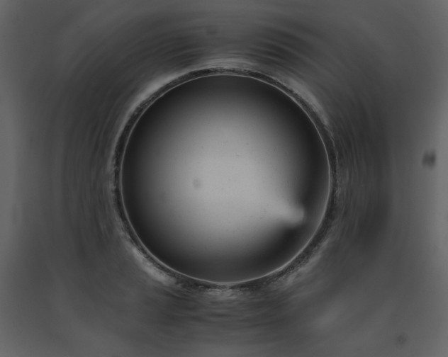X0000091661037200708231301