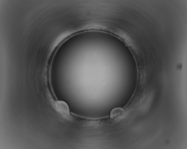 X0000091661038200708231301