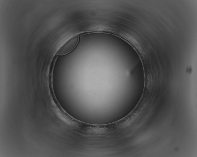 X0000091661039200708231301