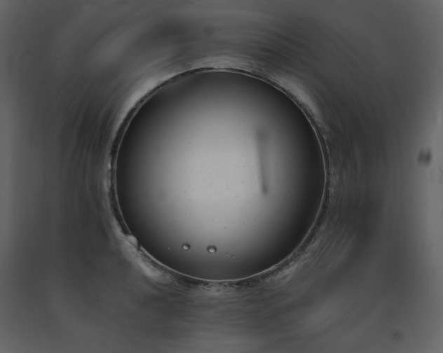X0000091661040200708231301