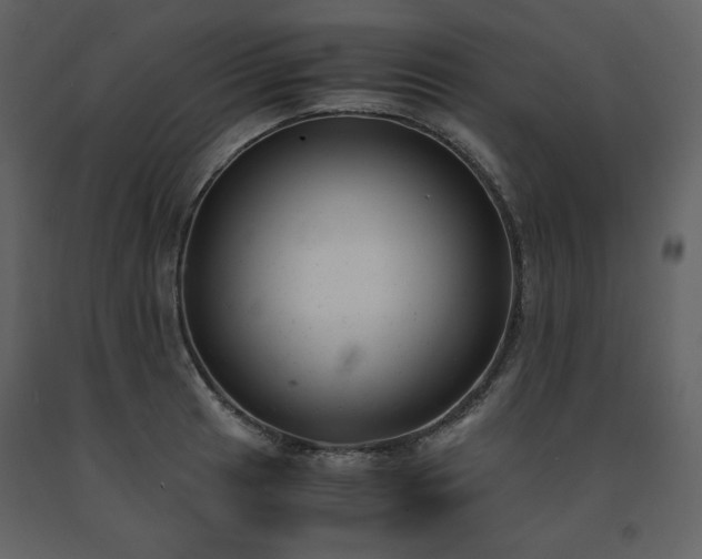 X0000091661041200708231301