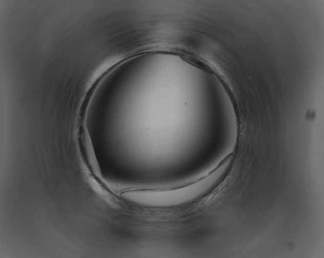 X0000091661042200708231301
