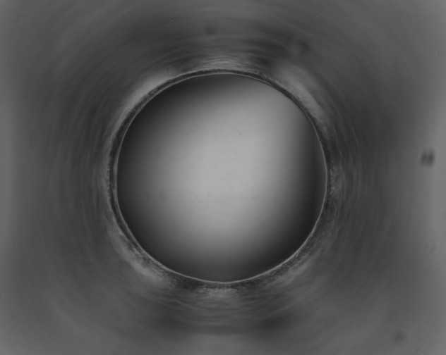 X0000091661043200708231301