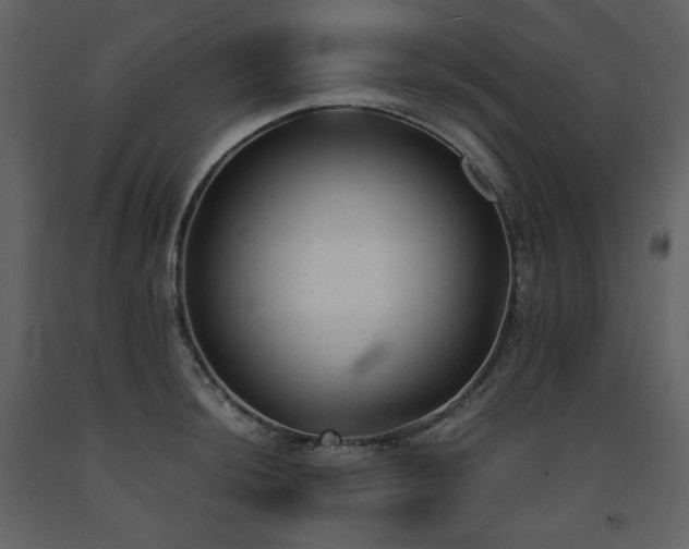 X0000091661044200708231301