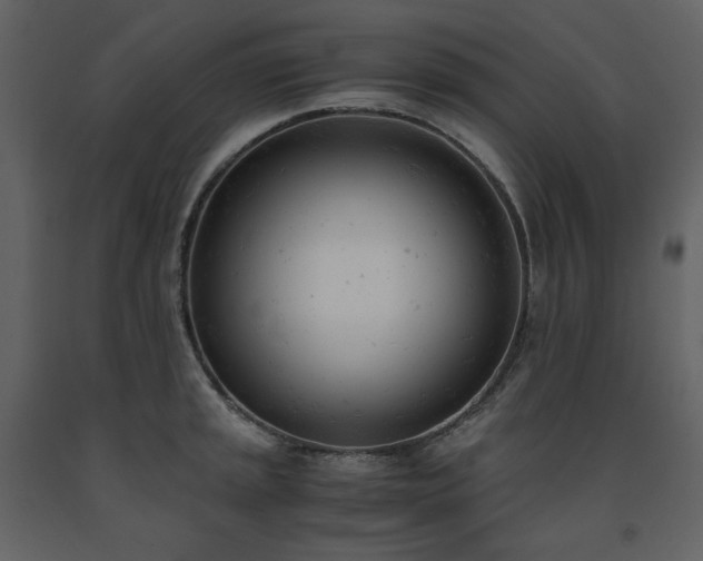 X0000091661045200708231301