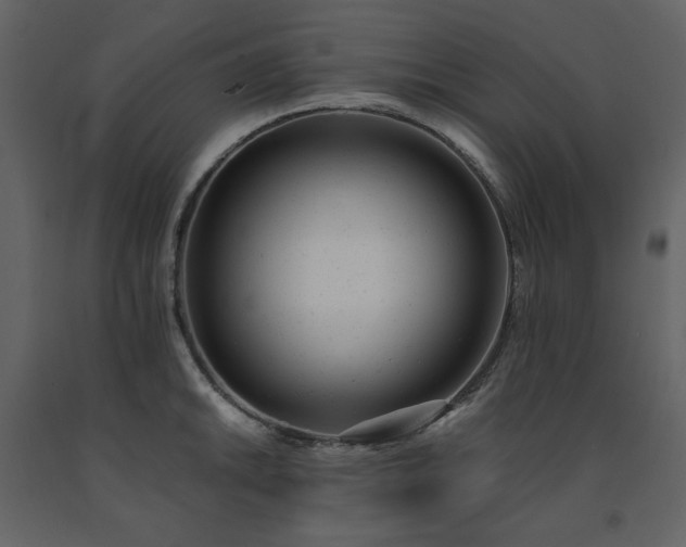 X0000091661046200708231301