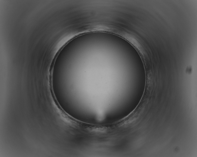 X0000091661047200708231301