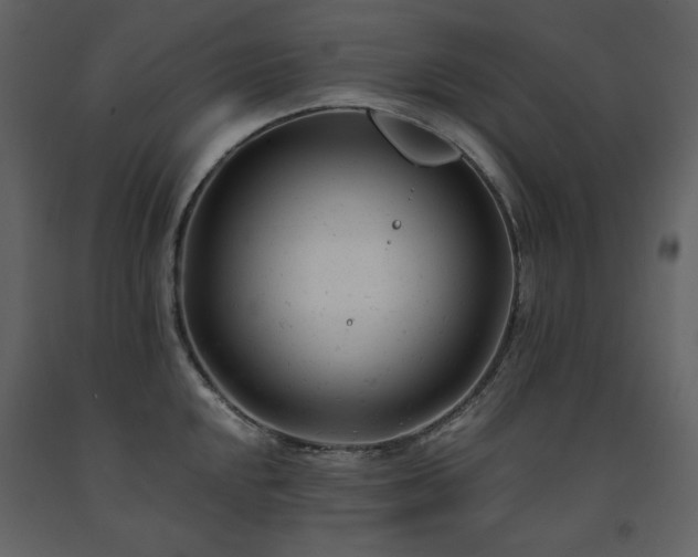 X0000091661048200708231301