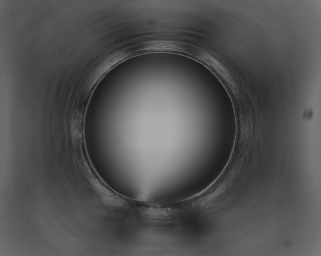 X0000091661049200708231301