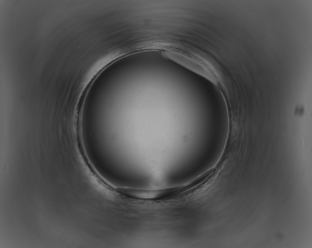 X0000091661050200708231301