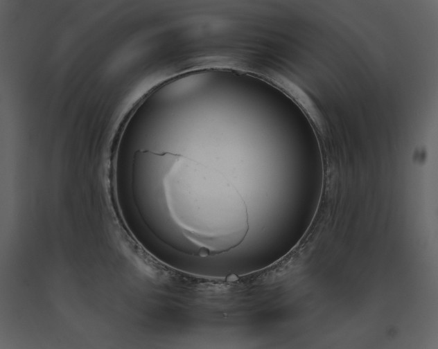 X0000091661051200708231301