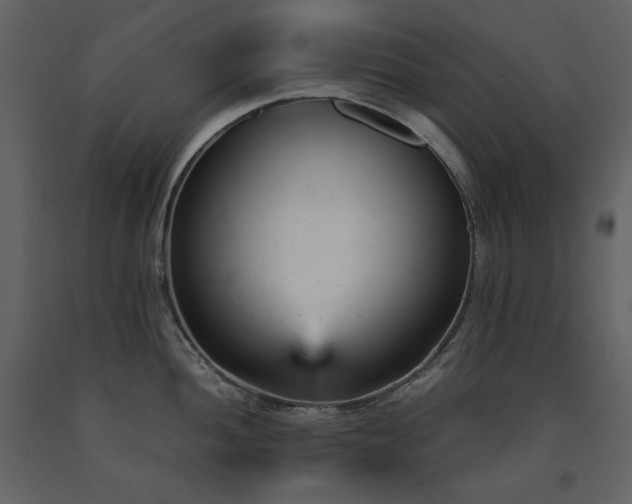 X0000091661052200708231301