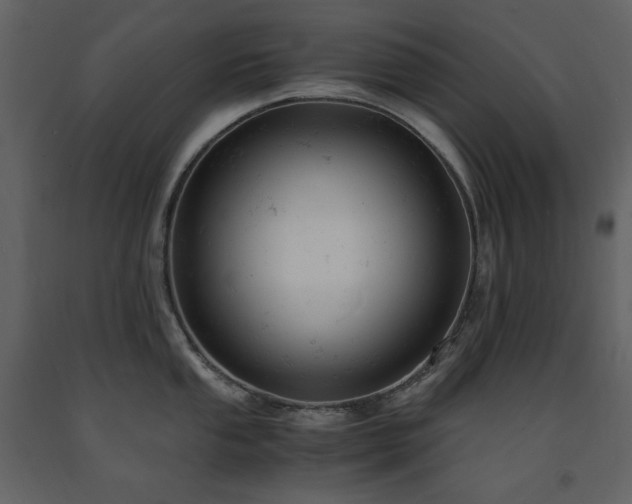 X0000091661053200708231301