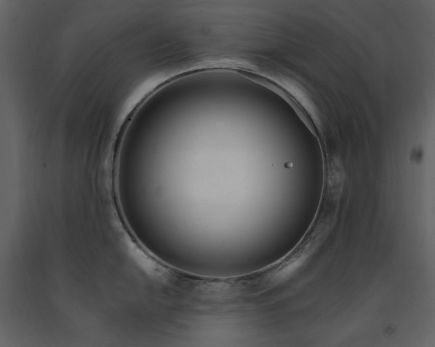 X0000091661054200708231301