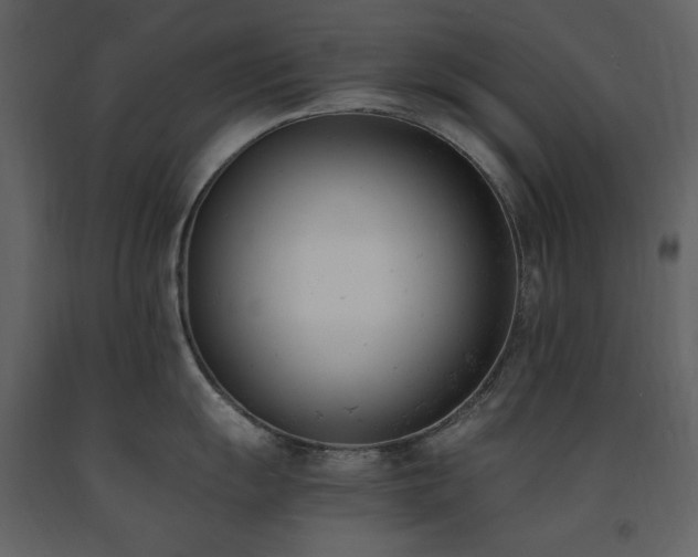 X0000091661055200708231301