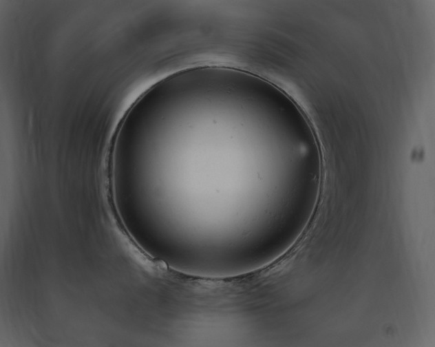 X0000091661056200708231301