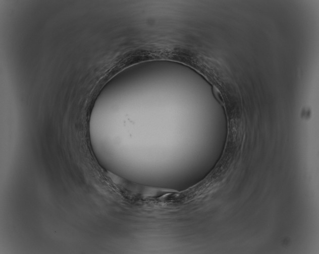 X0000091661057200708231300