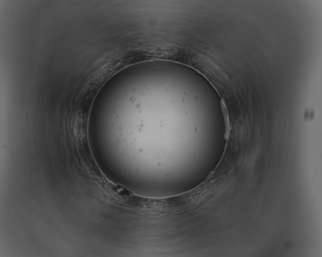 X0000091661058200708231300