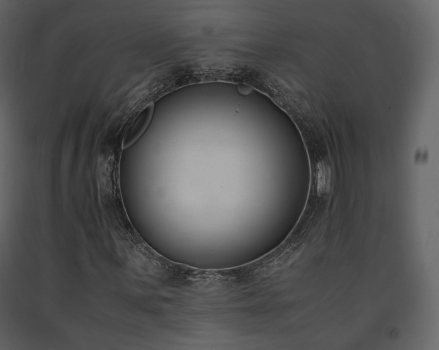 X0000091661059200708231300