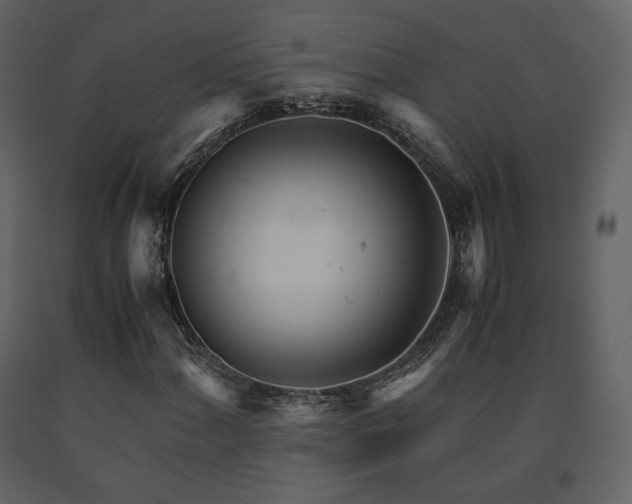 X0000091661060200708231300