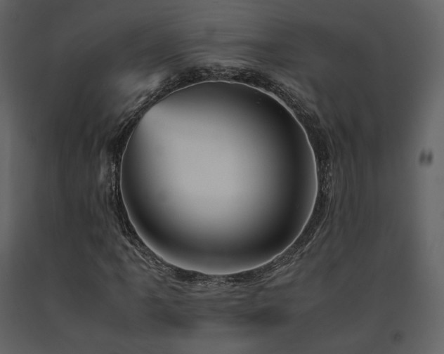 X0000091661061200708231300