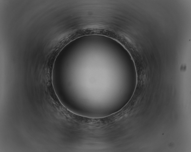 X0000091661062200708231300