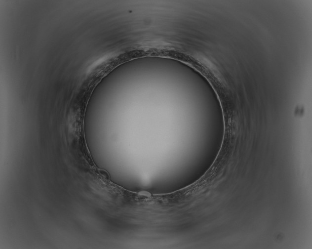 X0000091661063200708231300