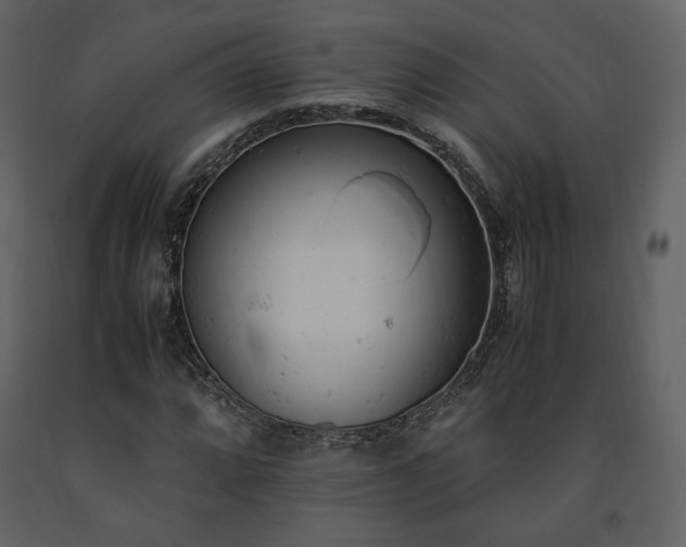 X0000091661064200708231300