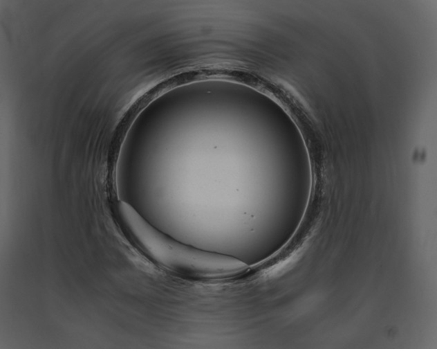 X0000091661065200708231300