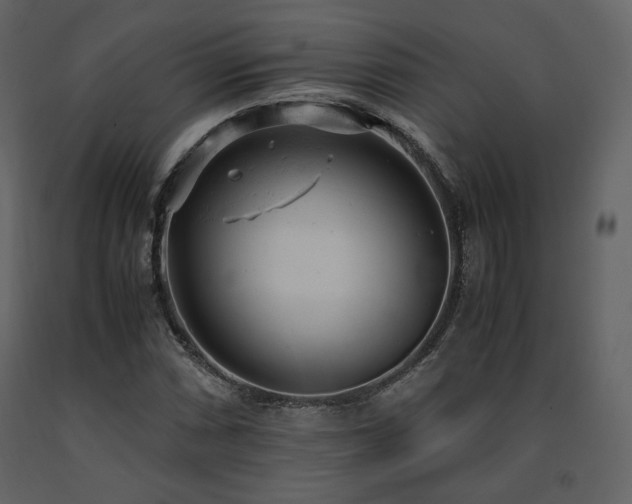 X0000091661066200708231300
