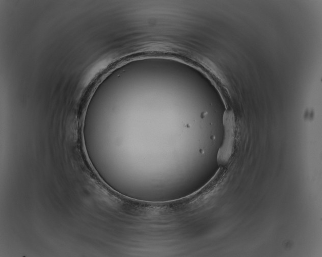 X0000091661067200708231300