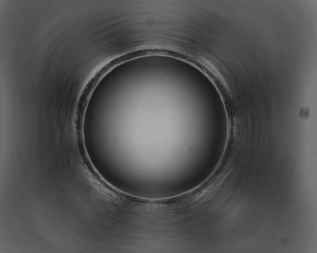 X0000091661068200708231300