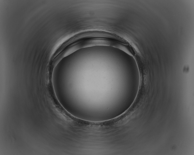 X0000091661069200708231300