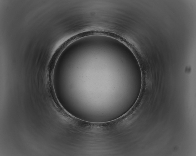 X0000091661070200708231300