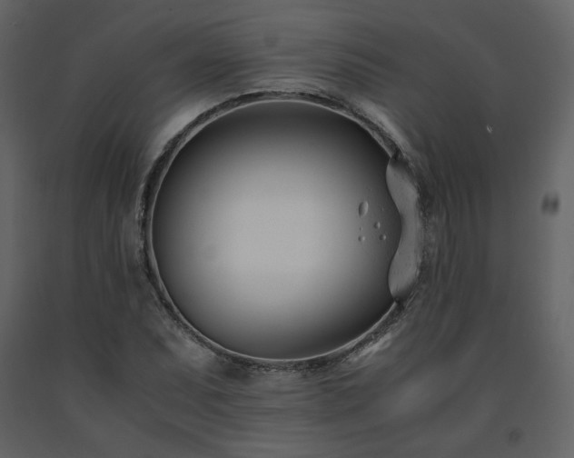 X0000091661071200708231300