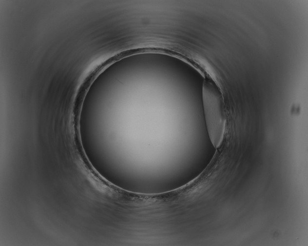 X0000091661072200708231300