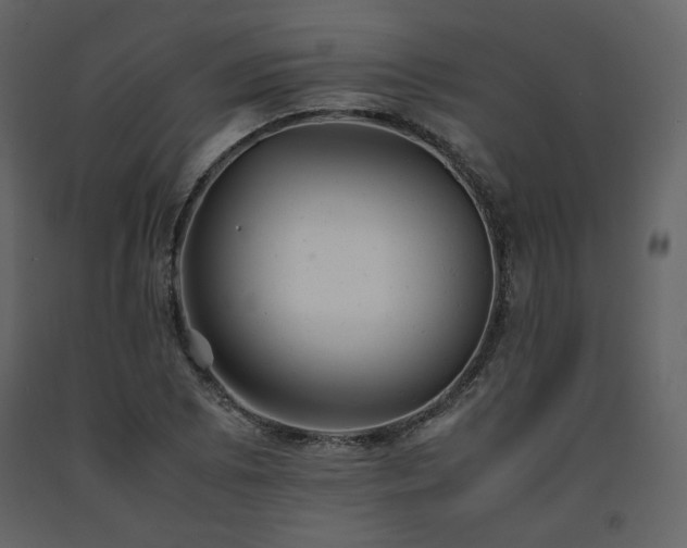X0000091661073200708231300