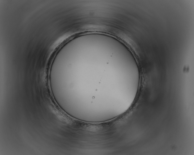 X0000091661074200708231300