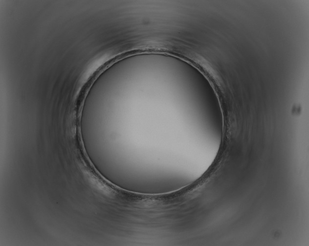 X0000091661075200708231300