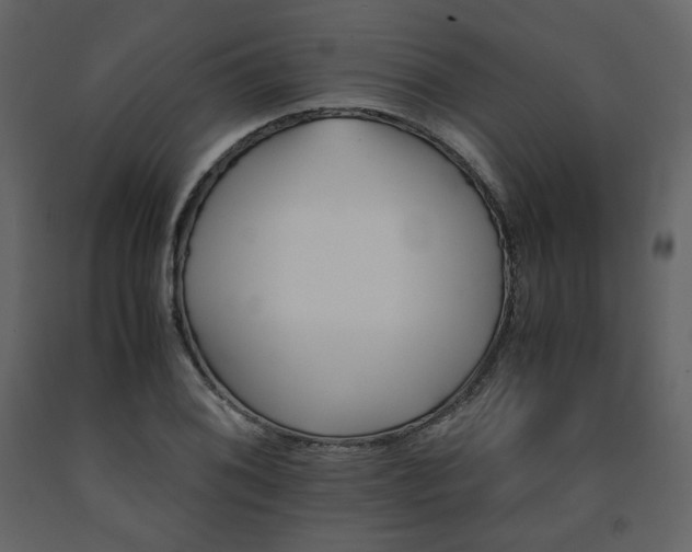 X0000091661076200708231300