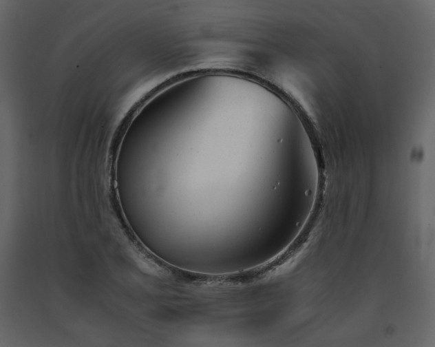X0000091661077200708231300