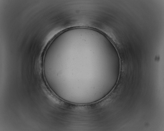 X0000091661078200708231300