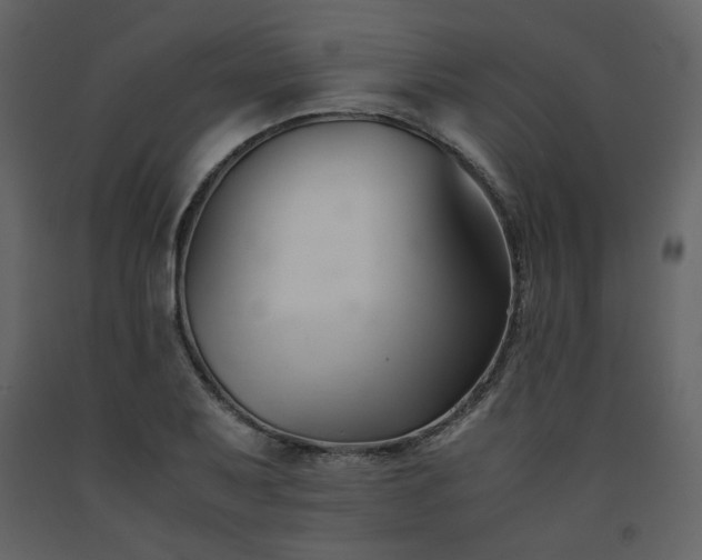 X0000091661079200708231300