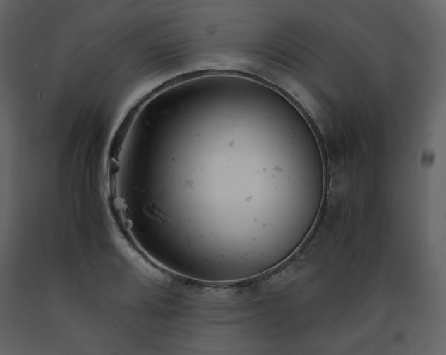 X0000091661080200708231300