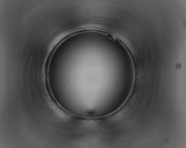 X0000091661082200708231300