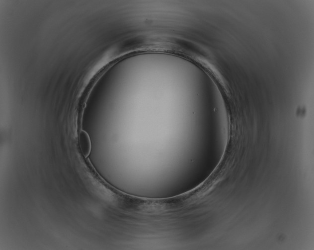 X0000091661083200708231300