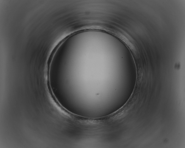 X0000091661084200708231300