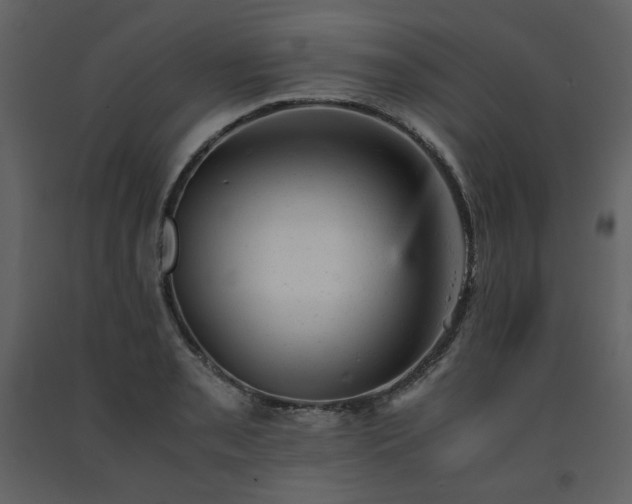 X0000091661085200708231300