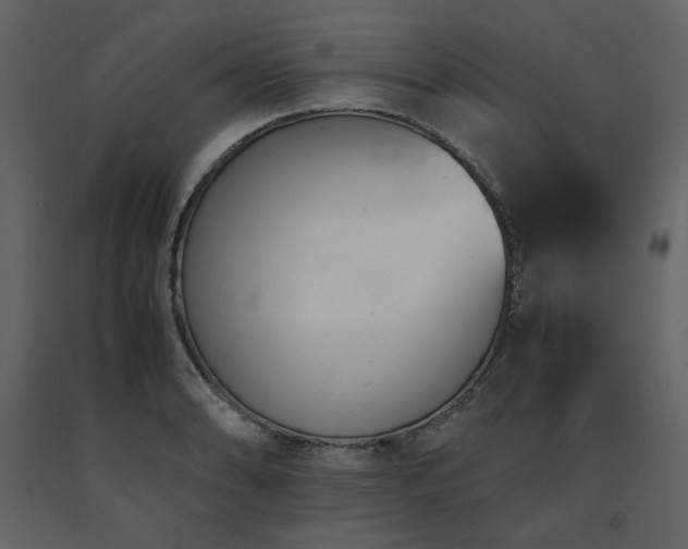 X0000091661086200708231300
